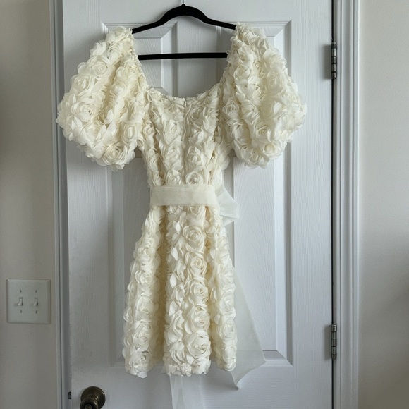 Cream Rose Mini Dress - Picture 4 of 4